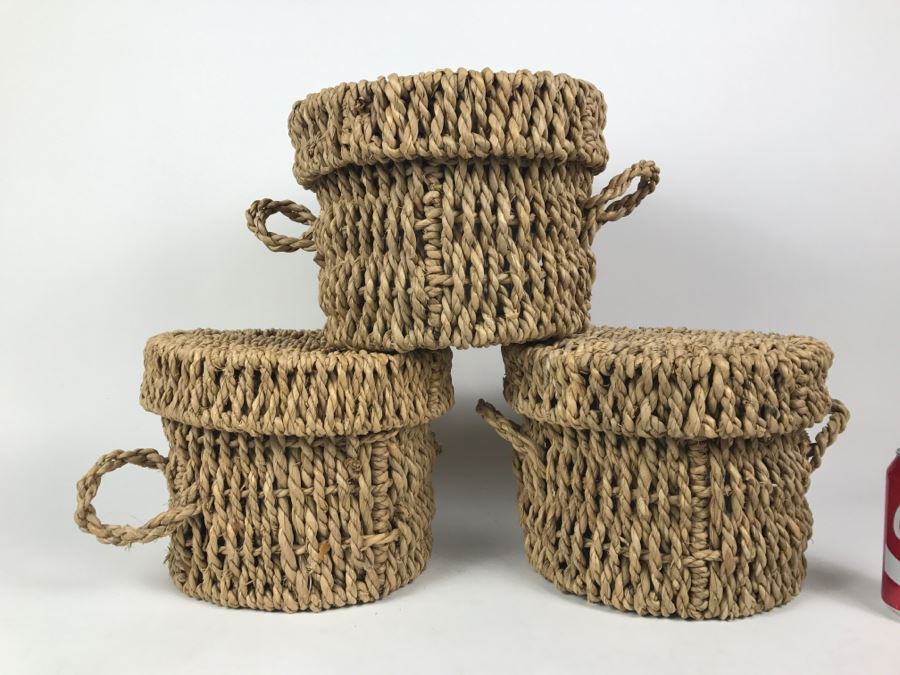 Set Of 3 Lidded Baskets Planters