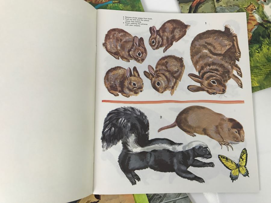 (12) Vintage Sticker Books Discover Cats, Discover Trains, Discover Horses, Discover Wildlife New Old Stock [Photo 15]