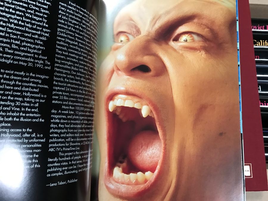 (13) Collection Of First Edition Kodak Collins Publishers A Day In The Life Of: California, Hollywood, Japan, Hawaii And More Books And (3) The Beautiful Cookbooks: America, Mexico And Italy [Photo 17]