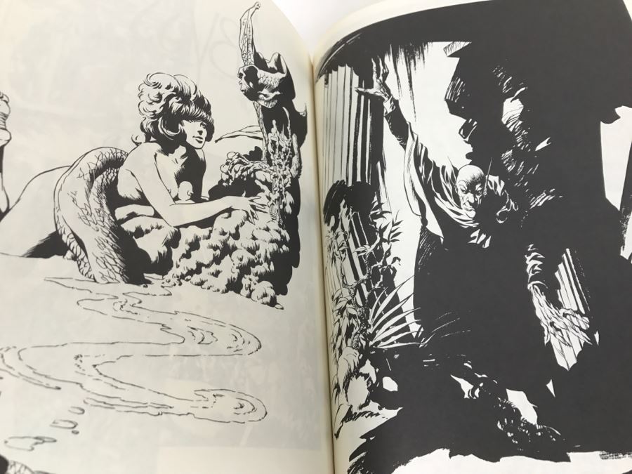 Vintage 1988 First Edition Berni Wrightson The Reaper Of Love And Other Stories Graphic Novel Comic Book Fantagraphics Book [Photo 12]