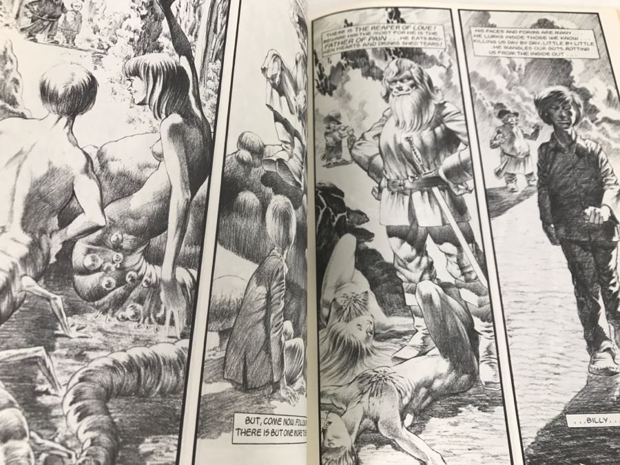 Vintage 1988 First Edition Berni Wrightson The Reaper Of Love And Other Stories Graphic Novel Comic Book Fantagraphics Book [Photo 9]