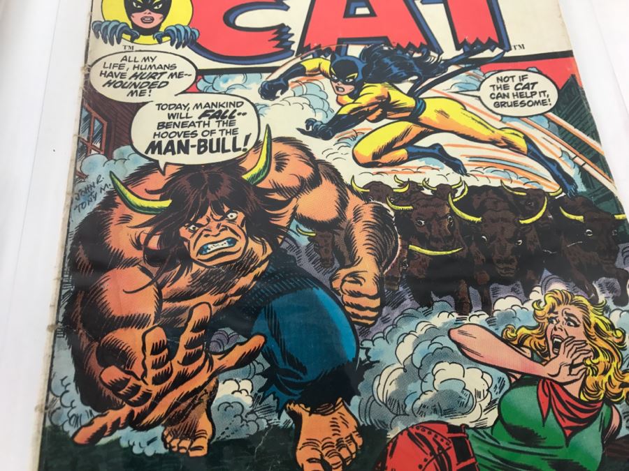Marvel Comics The Cat #4, Kull The Conqueror #9, Marvel Team-Up Featuring Spider-Man And The Thing #6 Comic Books [Photo 12]