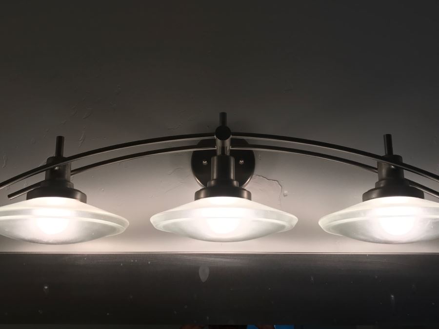 3-Light Metal Contemporary Light Fixture With Glass Shades [Photo 1]
