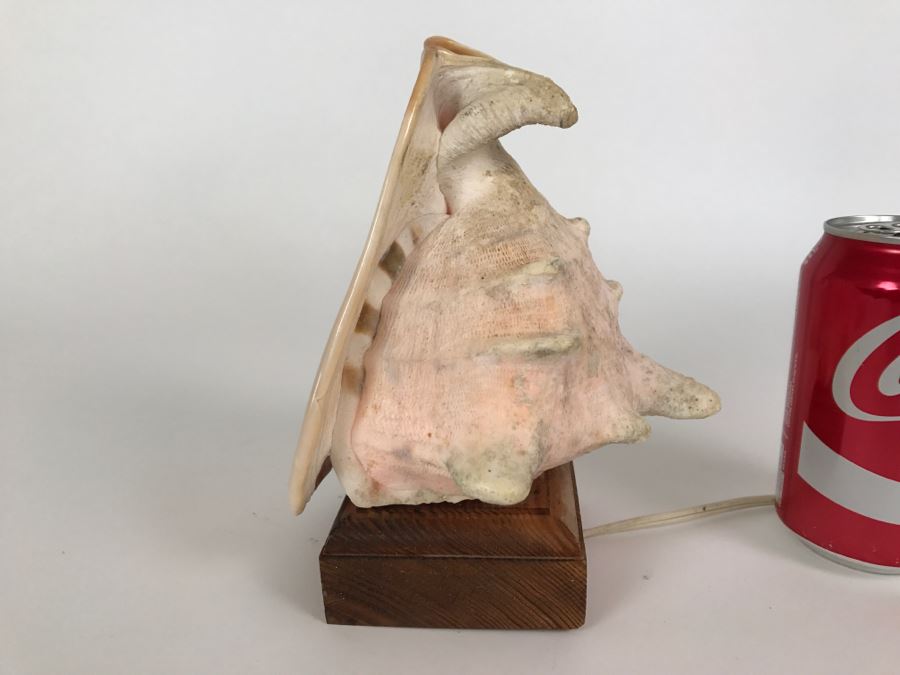 Conch Shell Table Lamp Light With Wooden Base [Photo 3]