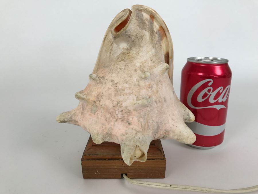 Conch Shell Table Lamp Light With Wooden Base [Photo 4]