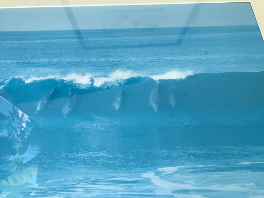 Framed Photograph Of Dolphins Riding A Wave [Photo 3]