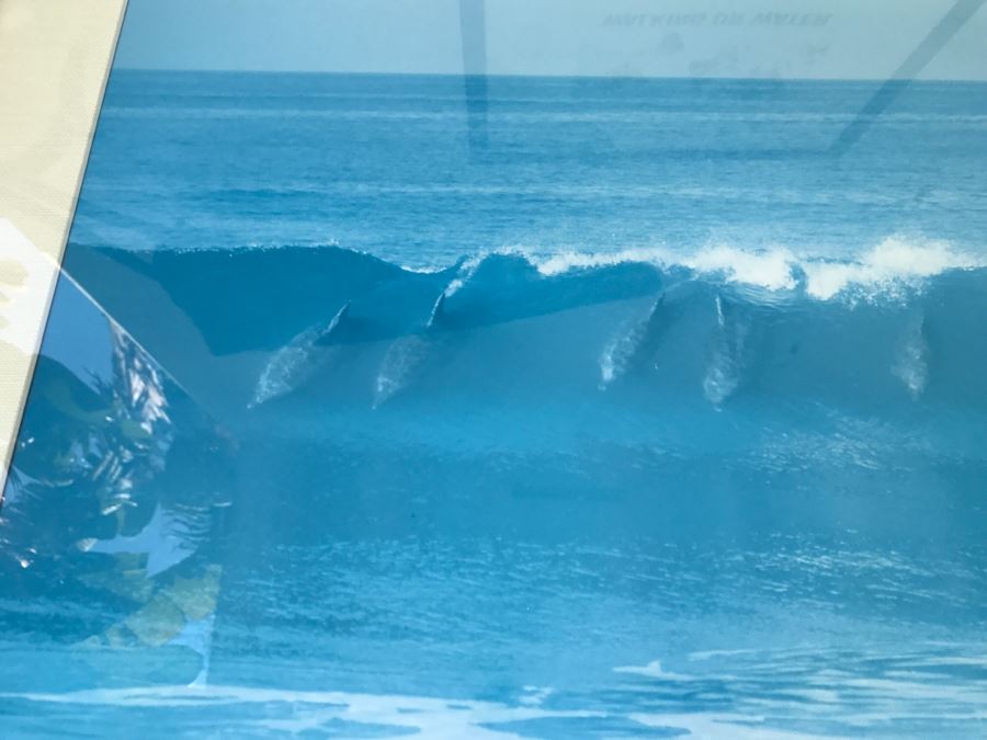 Framed Photograph Of Dolphins Riding A Wave [Photo 2]