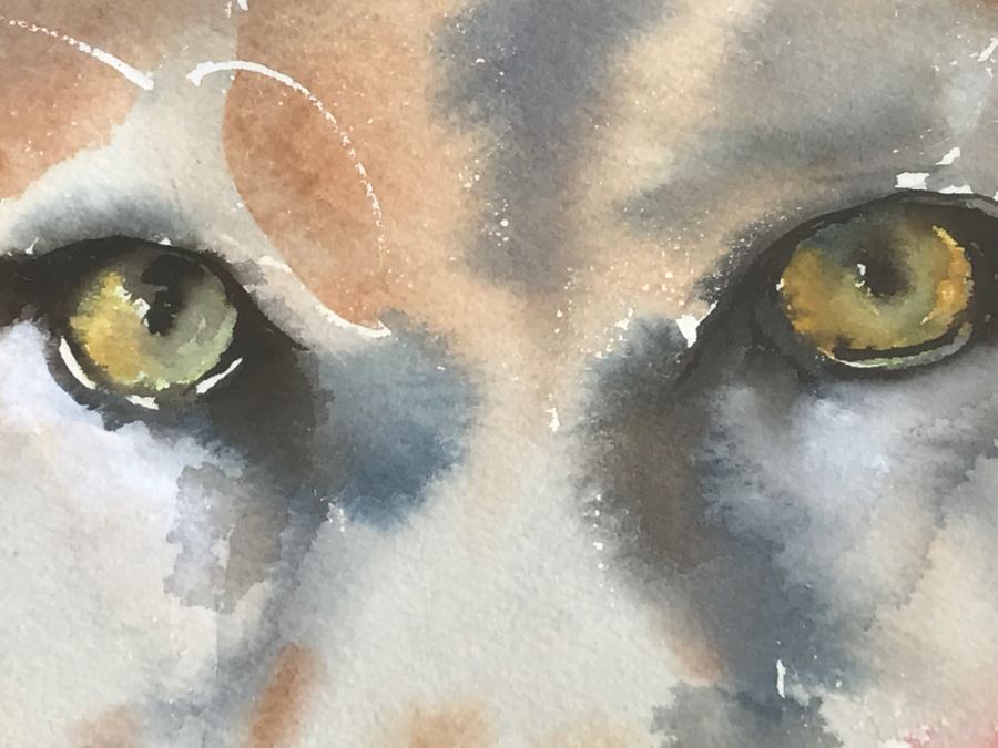 Original Watercolor Of Mountain Lion By Local Artist C Fleming [Photo 7]