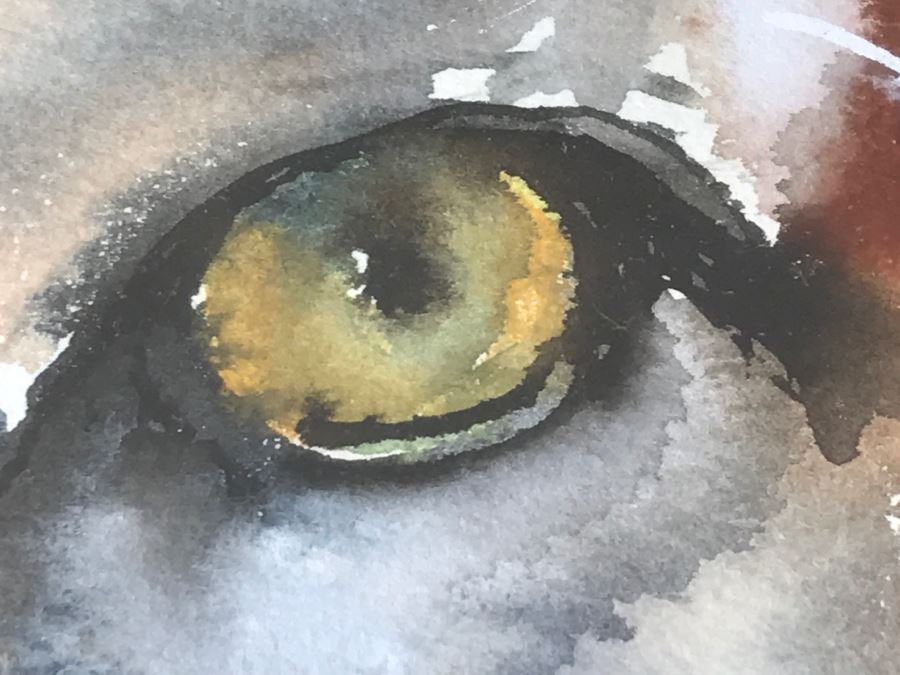 Original Watercolor Of Mountain Lion By Local Artist C Fleming [Photo 12]