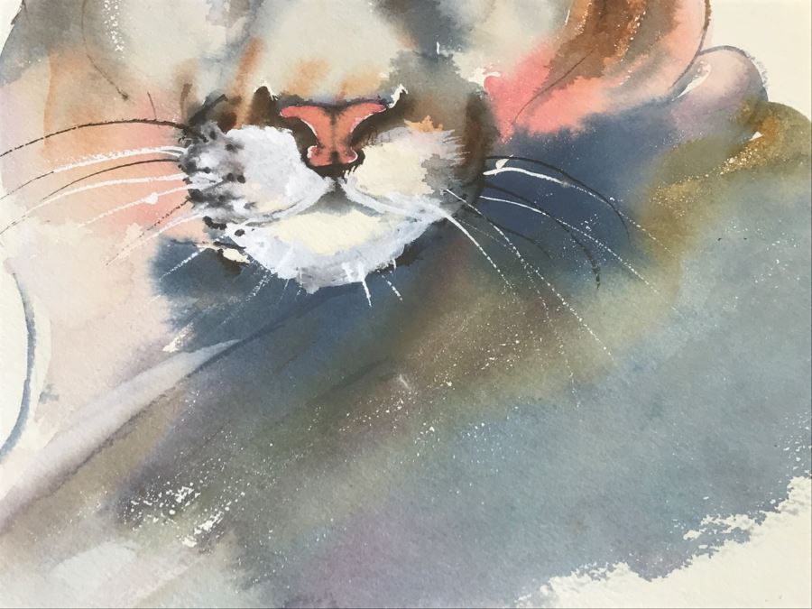 Original Watercolor Of Mountain Lion By Local Artist C Fleming [Photo 10]