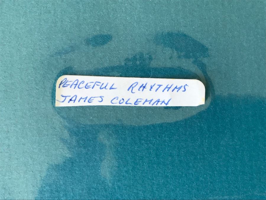 (7) Picture Frames (Photos Will Be Removed) And James Coleman Peaceful Rhythms Print [Photo 4]