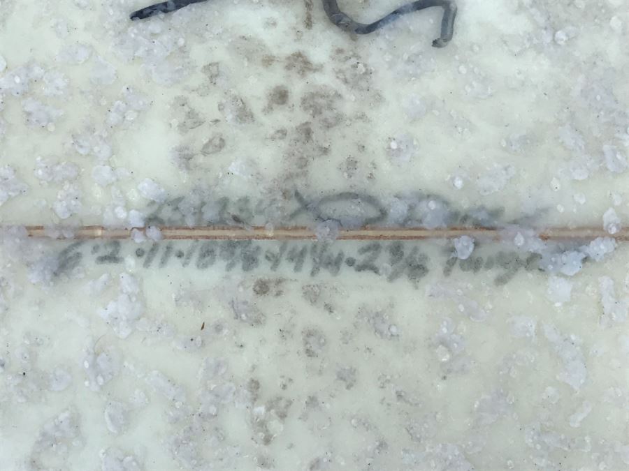 DANE REYNOLDS Personal Surfboard Signed 6'2' - Multiple Areas Where He Wrote 'VENTURA SURF SHOP' - Possibly Best Freestyle Surfer Ever Tied With Kelly Slater - Item Has Reserve [Photo 16]