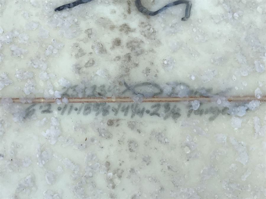 DANE REYNOLDS Personal Surfboard Signed 6'2' - Multiple Areas Where He Wrote 'VENTURA SURF SHOP' - Possibly Best Freestyle Surfer Ever Tied With Kelly Slater - Item Has Reserve [Photo 15]