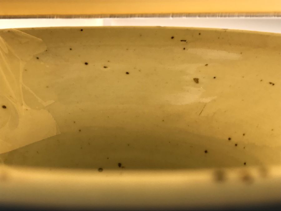 Large Asian Blue And White Pottery Lamp With Shade [Photo 17]