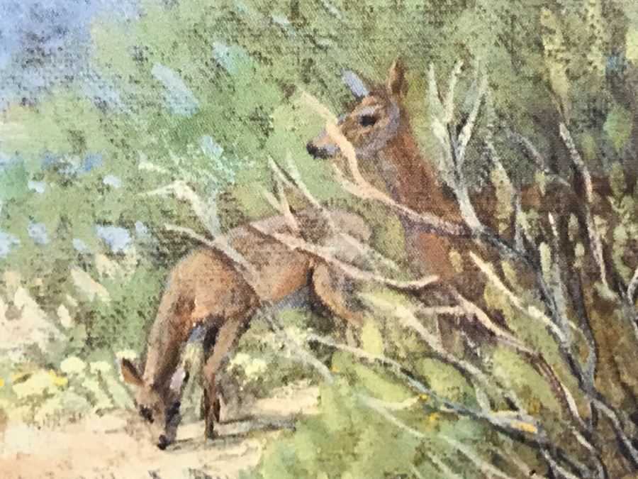 Nicely Framed P Byars Limited Edition Print Of Landscape Deer Scene 574 Of 1950 [Photo 4]