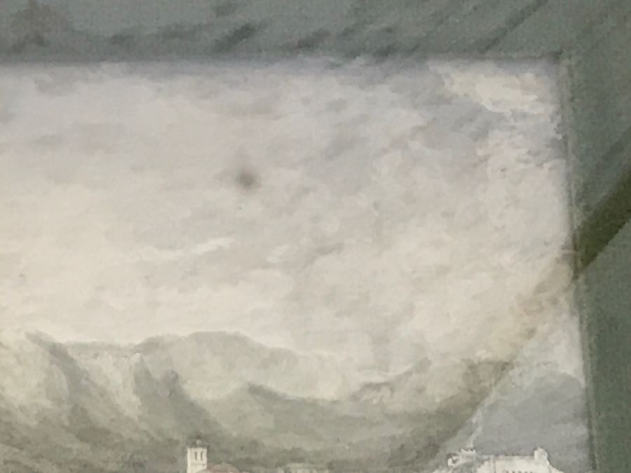 Set Of 4 Original Engravings Hand Colored Framed And Styled For Chalfant & Pearce With Bubble Glass [Photo 19]