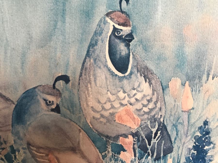 Framed Marge Gray 1977 Signed Bird Print 150 Of 300 [Photo 4]