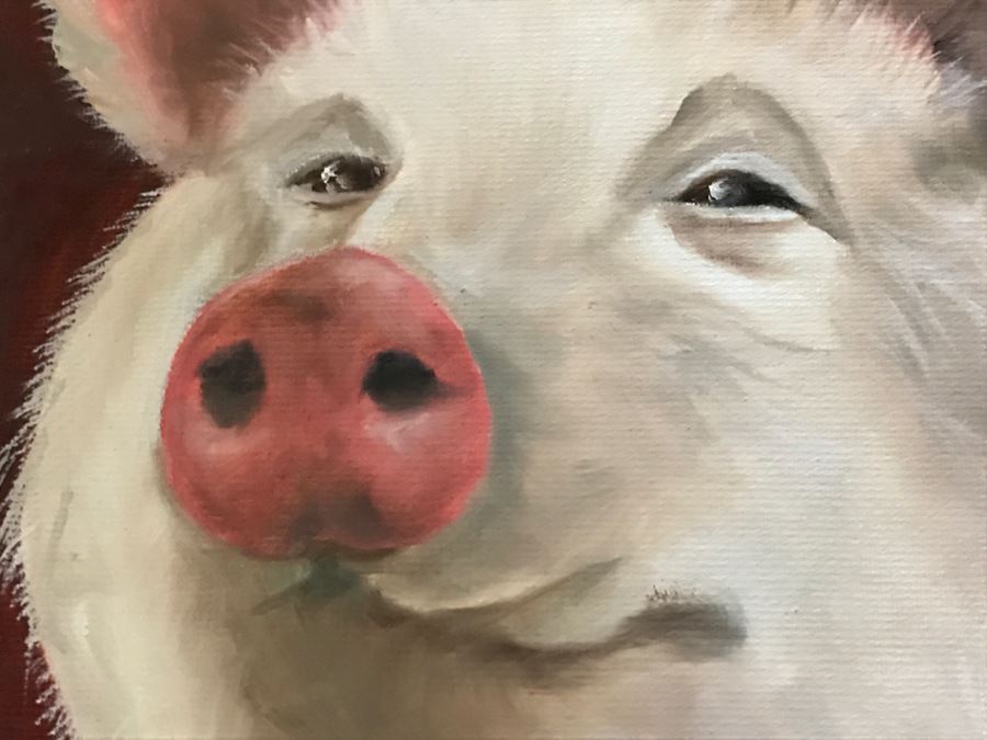 Framed Original Oil Painting Of Pig By Katie Brown [Photo 5]