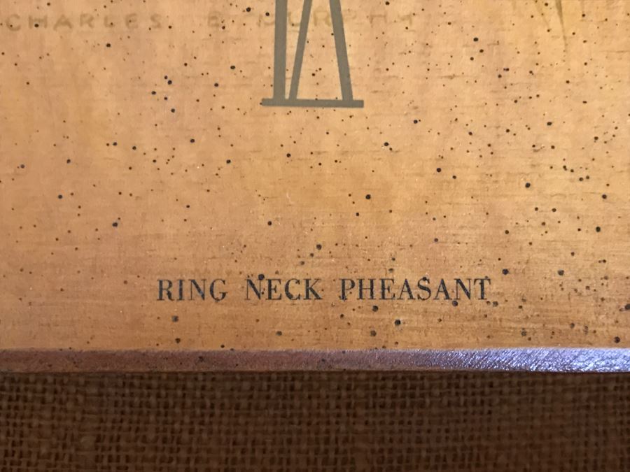 Vintage Ring Neck Pheasant Picture Clock By Arts Primarliy Co [Photo 4]