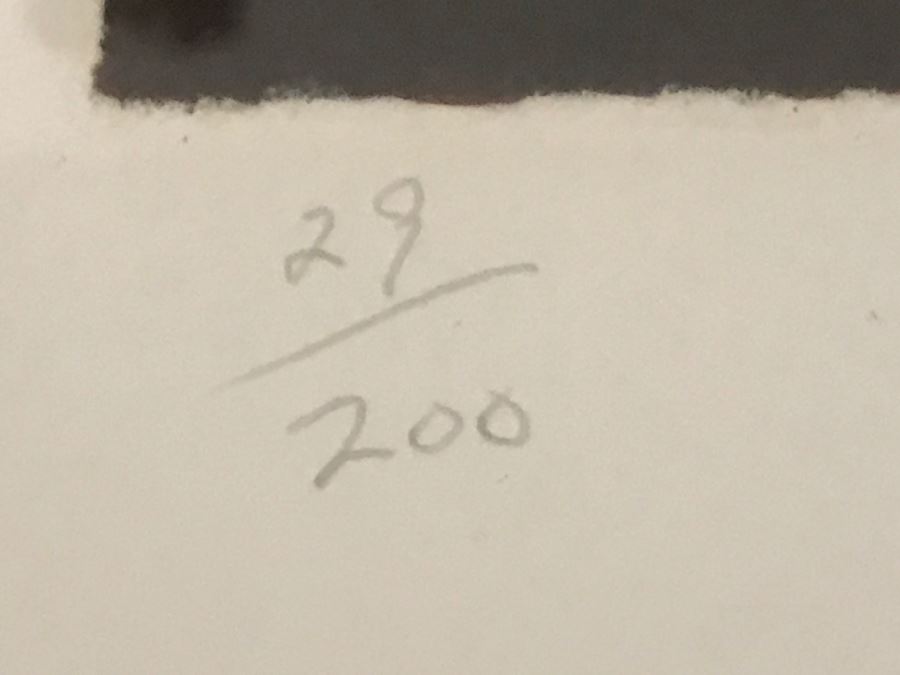 Douglas Hofmann Nude 'Pink Flowers' Hand-Signed Lithograph Print 1988 29 Of 200 [Photo 10]