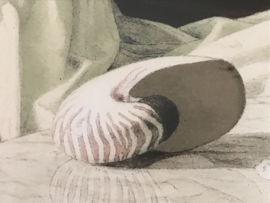 Douglas Hofmann Nude 'Pink Flowers' Hand-Signed Lithograph Print 1988 29 Of 200 [Photo 7]