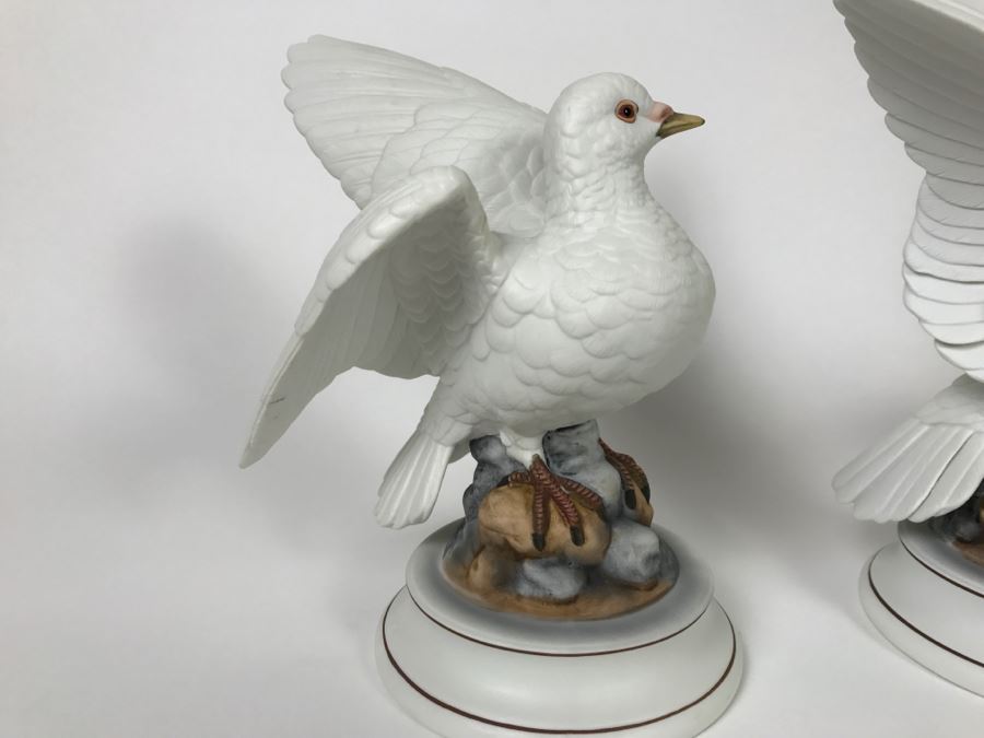 Pair Of White Doves By Andrea [Photo 5]