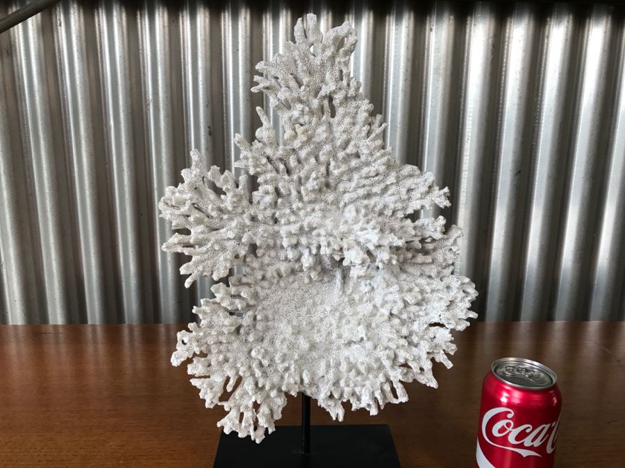 Home Decor Lot With Faux Coral, Silver Glass Jars And Silver Glass Decorative Ball [Photo 11]