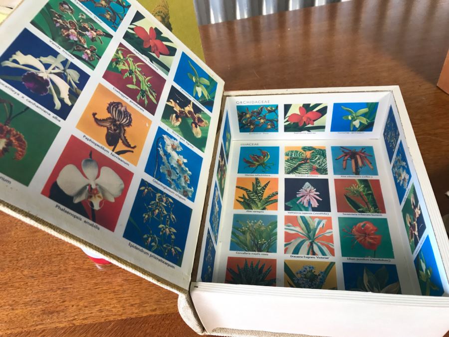 Faux Book Boxes Exotique, Bugs, Science, Nautical [Photo 13]