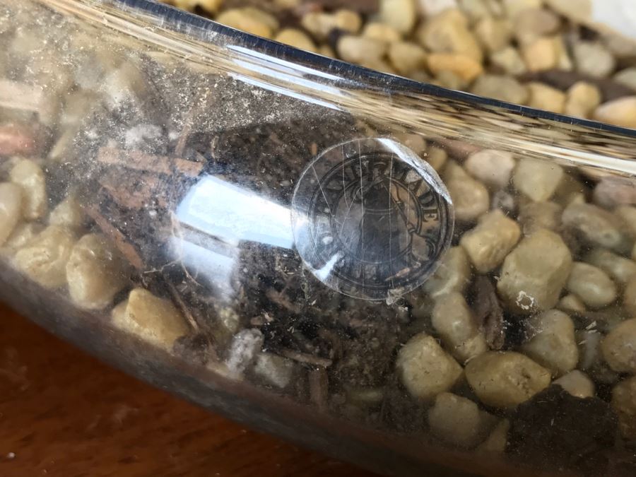 Home Decor Lot Featuring 3 Bowls With Rocks And Shells [Photo 6]