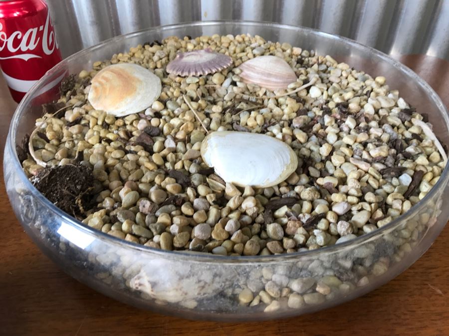 Home Decor Lot Featuring 3 Bowls With Rocks And Shells [Photo 4]