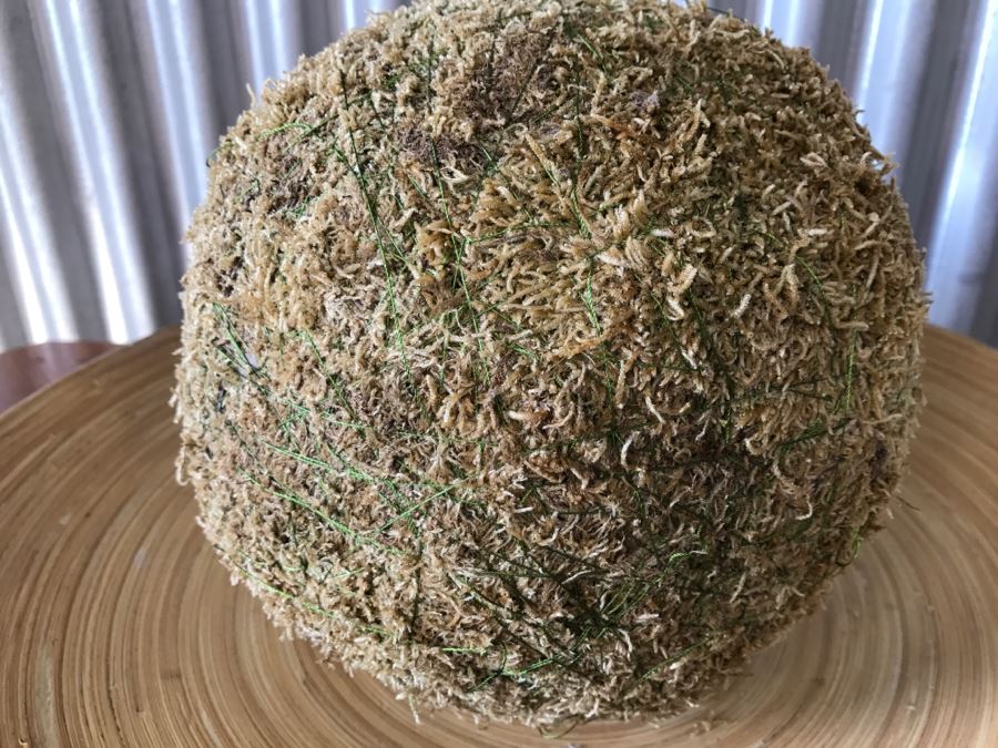 Home Decor Lot Featuring 3 Bowls With Rocks And Shells [Photo 10]