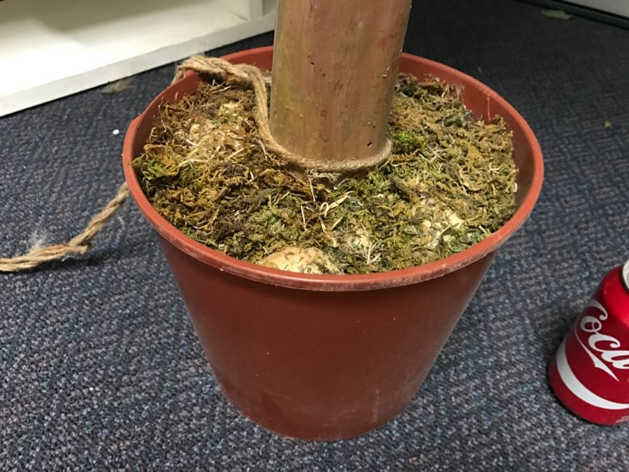 Artificial Plant Apx 90' Tall [Photo 5]