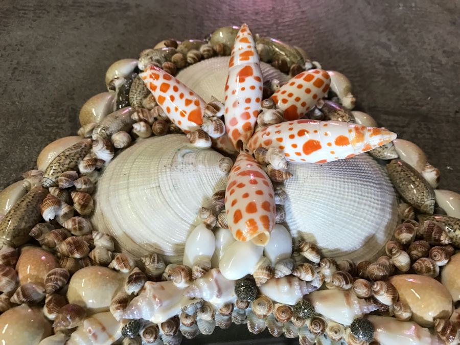 Stunning Seashell Wall Mirror [Photo 9]