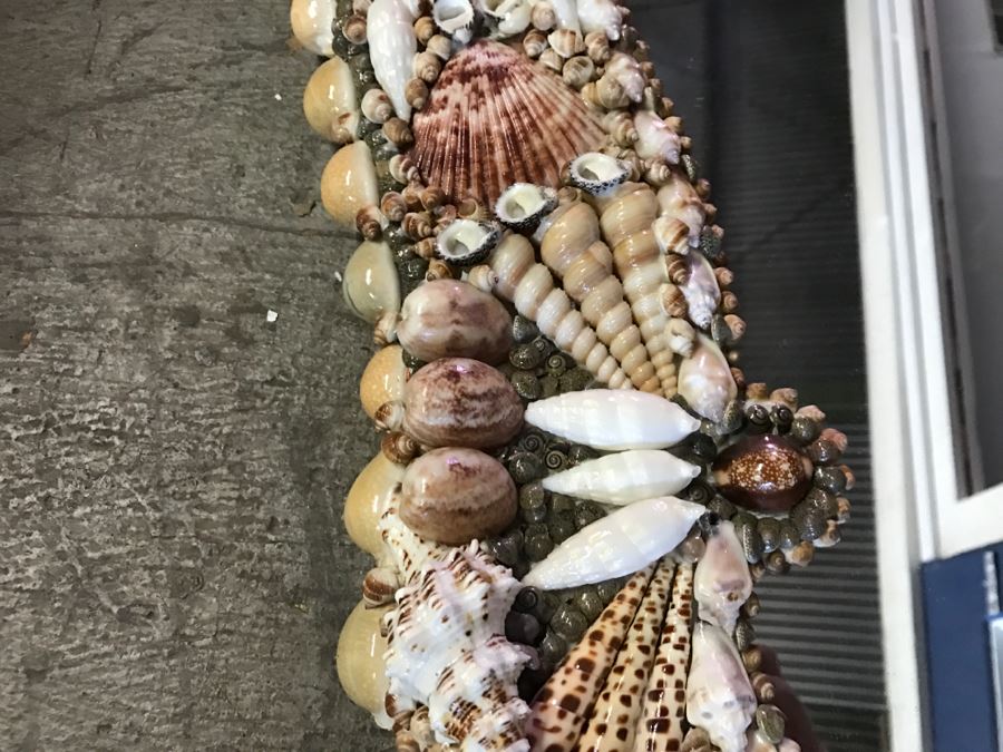 Stunning Seashell Wall Mirror [Photo 7]