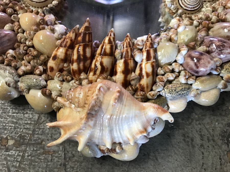 Stunning Seashell Wall Mirror [Photo 2]