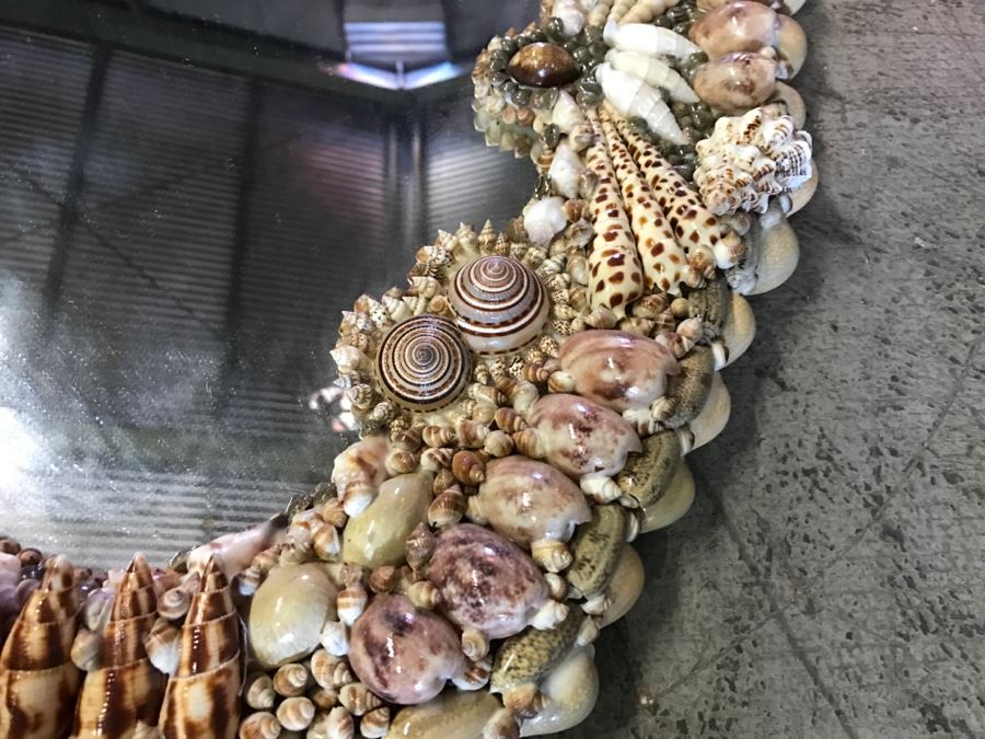 Stunning Seashell Wall Mirror [Photo 3]