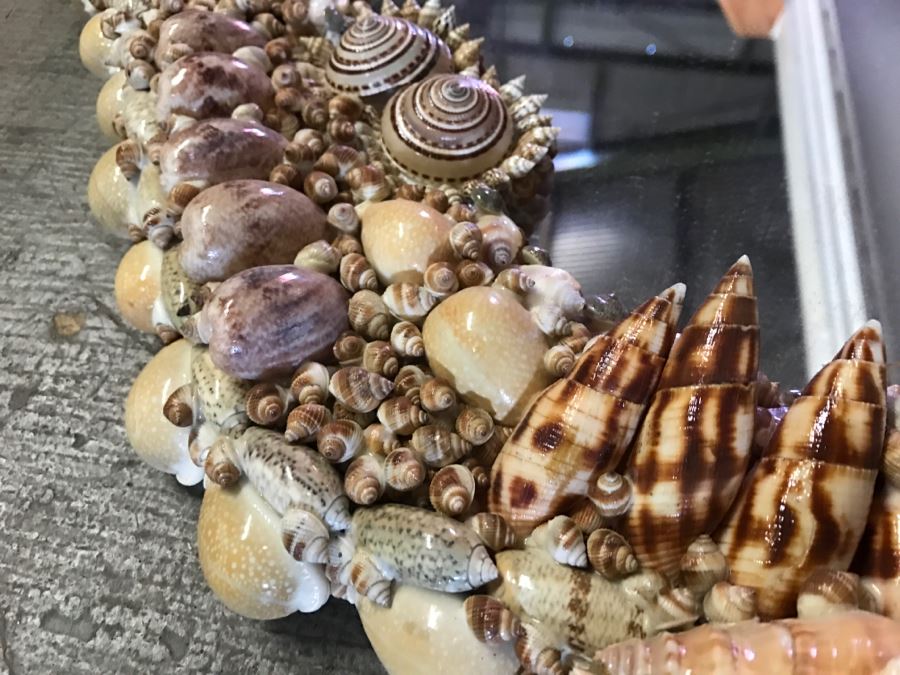 Stunning Seashell Wall Mirror [Photo 6]