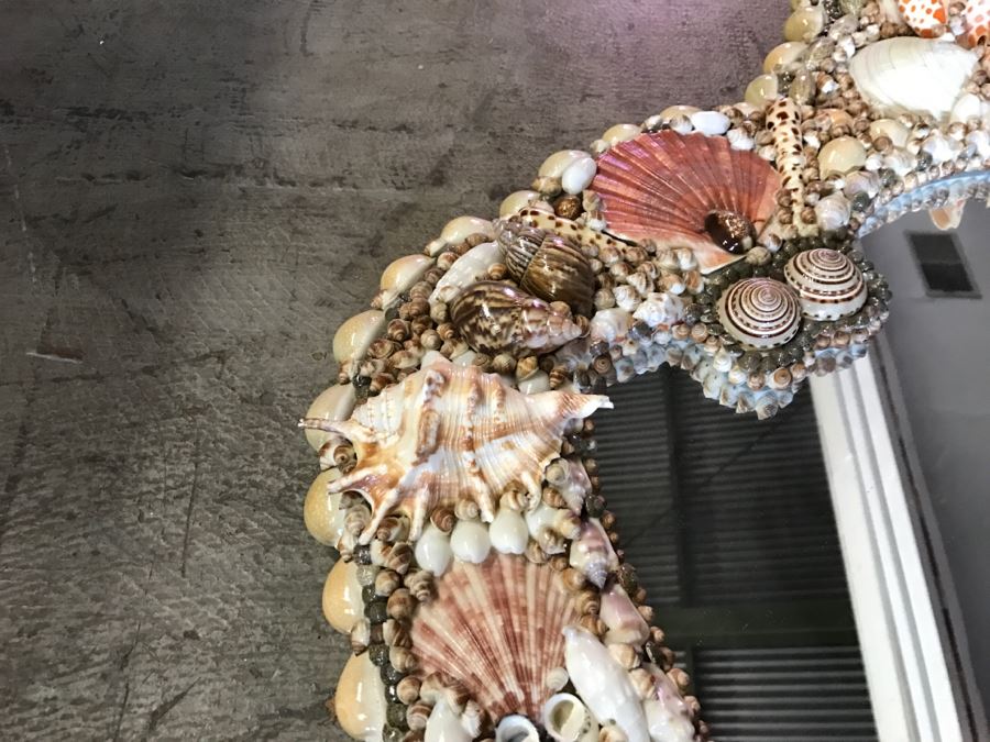 Stunning Seashell Wall Mirror [Photo 8]
