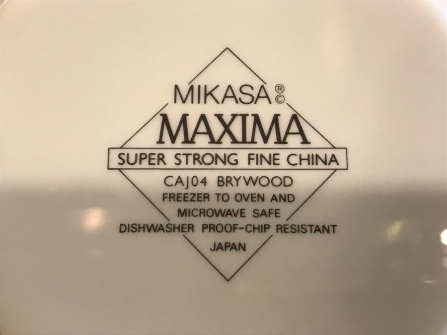 Tony Ya Melamine Ware Dish Set + Mikasa Maxima Brywood China Set + Pair Of Electra Casual Ceram Stoneware Plates [Photo 9]