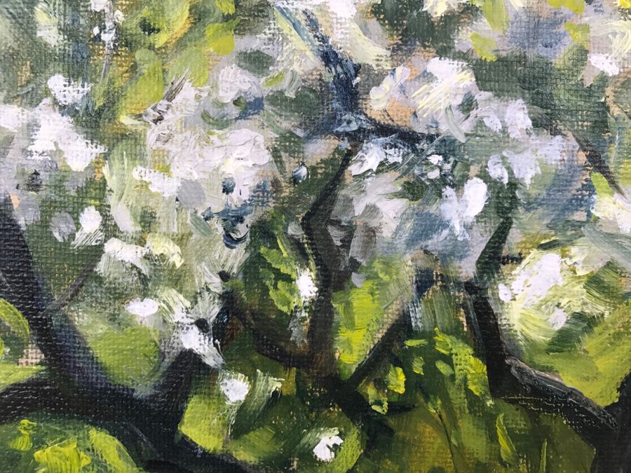 Original Plein Air Oil Painting Unsigned 12' X 9' [Photo 11]