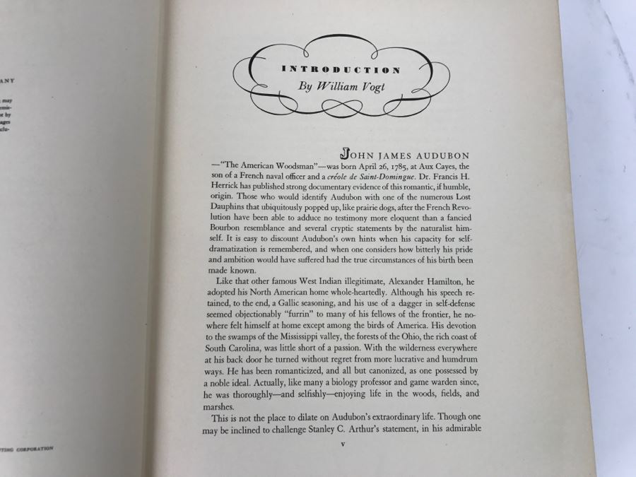 Vintage Book The Birds Of America By John James Audubon - Copyright 1937 By The Macmillan Company - Published 1937, 1941, 1942 [Photo 7]
