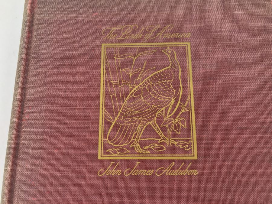 Vintage Book The Birds Of America By John James Audubon - Copyright 1937 By The Macmillan Company - Published 1937, 1941, 1942 [Photo 2]