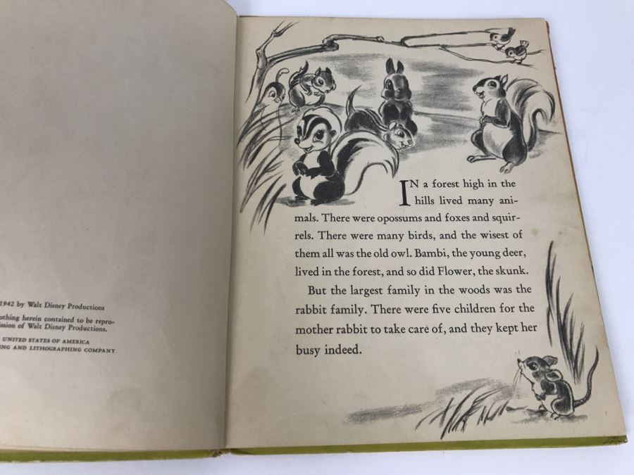 Vintage Book Walt Disney’s Thumper - Grosset And Dunlap Publishers - Copyright 1941, 1942 By Walt Disney Productions  [Photo 6]