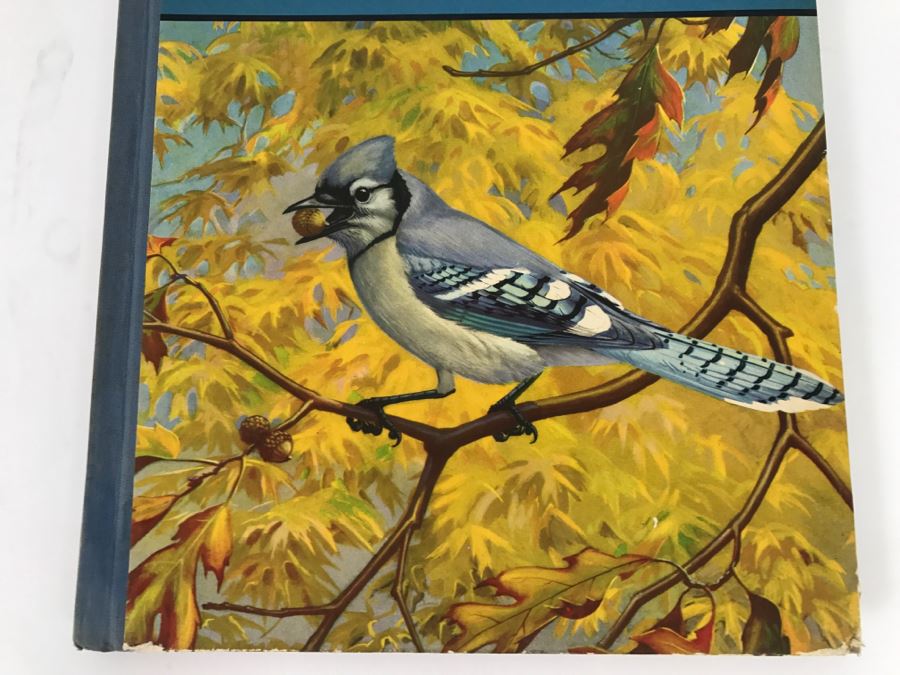 Traveling With The Birds By Rudyerd Boulton Illustrated By Walter Alos Weber - Copyright 1933 By M.A. Donohue And Company [Photo 2]