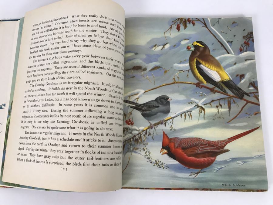 Traveling With The Birds By Rudyerd Boulton Illustrated By Walter Alos Weber - Copyright 1933 By M.A. Donohue And Company [Photo 8]