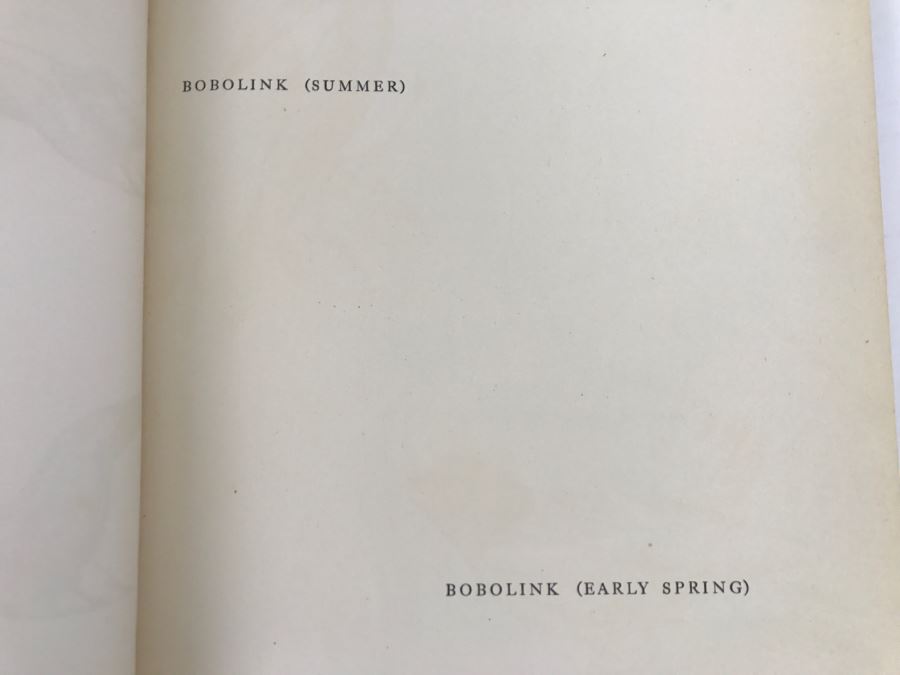 Traveling With The Birds By Rudyerd Boulton Illustrated By Walter Alos Weber - Copyright 1933 By M.A. Donohue And Company [Photo 4]