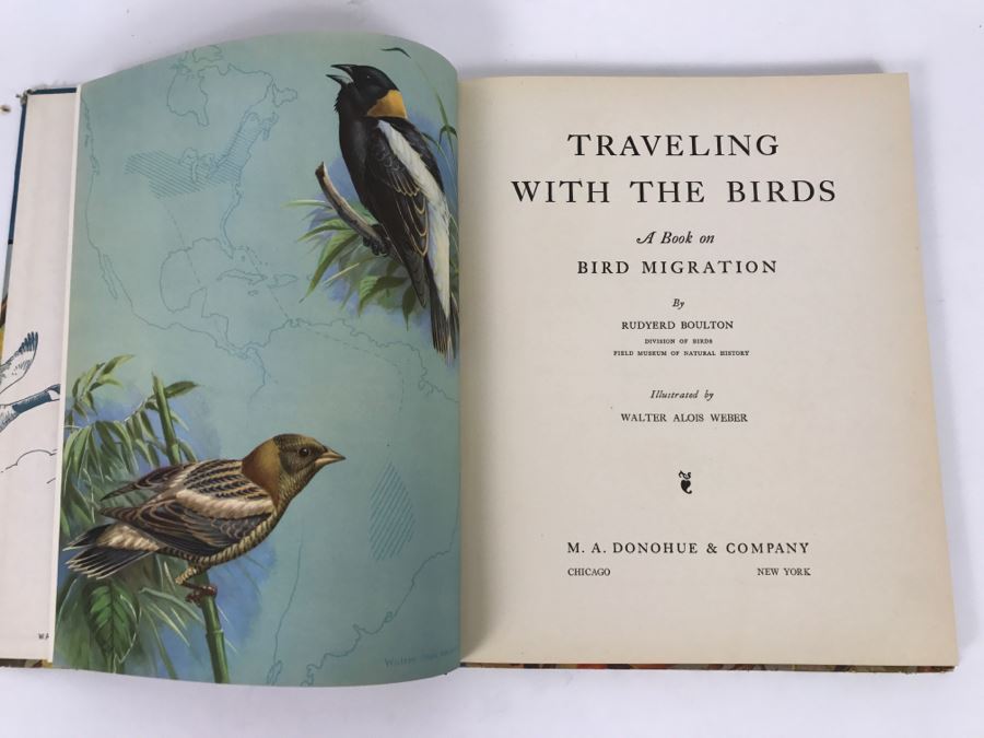 Traveling With The Birds By Rudyerd Boulton Illustrated By Walter Alos Weber - Copyright 1933 By M.A. Donohue And Company [Photo 5]