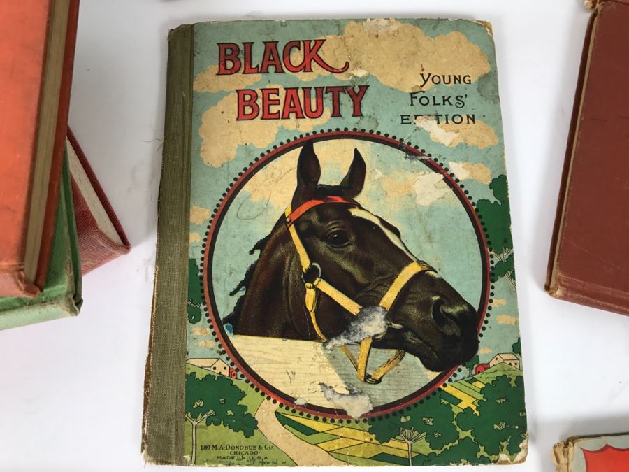 Assorted Vintage Books - Lot of 16 Including Black Beauty, The Angora Twins, Music Books, and First Aid Books Among Others [Photo 4]