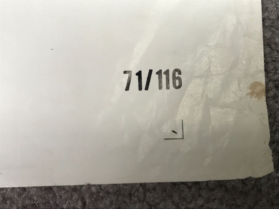 Vintage 1971 Litho Movie Poster 'The Incredible 2 Headed Transplant' - Some Edge Tears 71 Of 116 [Photo 16]