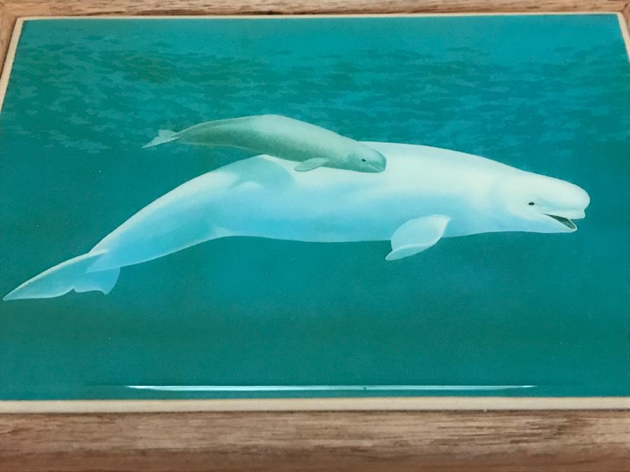 JUST ADDED - Covered Box With Beluga Whale Tile Top [Photo 3]